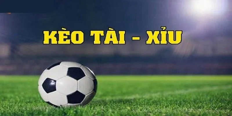 keo-tai-xiu-8xbet